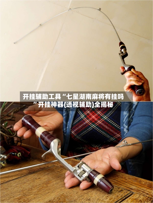 开挂辅助工具“七星湖南麻将有挂吗”开挂神器{透视辅助}全揭秘