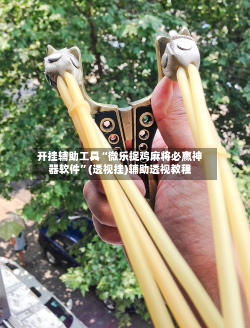 开挂辅助工具“微乐捉鸡麻将必赢神器软件”(透视挂)辅助透视教程