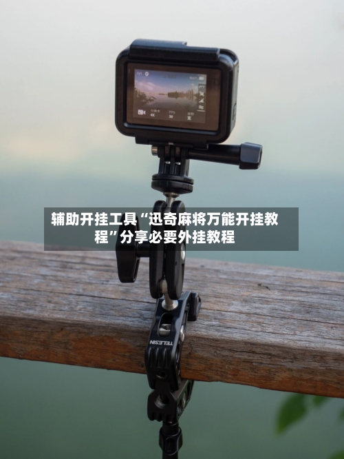 辅助开挂工具“迅奇麻将万能开挂教程”分享必要外挂教程-第2张图片