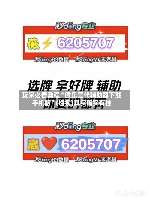 玩家必看教程“微乐三代辅助器下载手机版”(透视)其实确实有挂-第3张图片