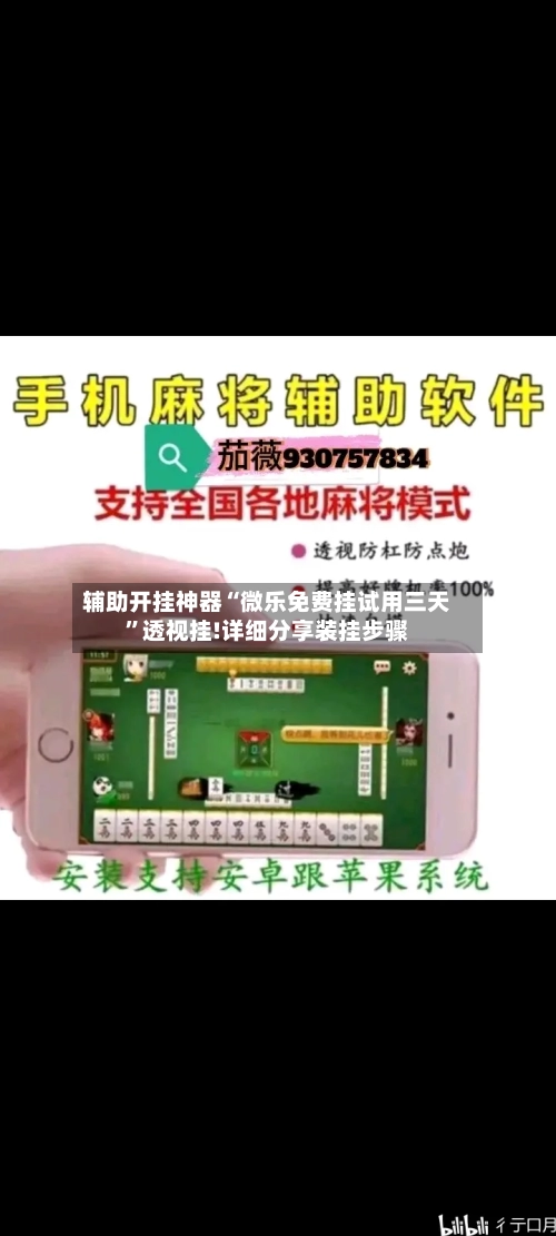 辅助开挂神器“微乐免费挂试用三天	”透视挂!详细分享装挂步骤-第2张图片