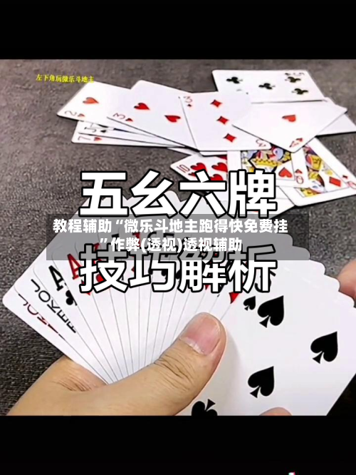 教程辅助“微乐斗地主跑得快免费挂	”作弊(透视)透视辅助-第2张图片