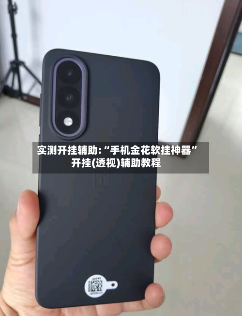 实测开挂辅助:“手机金花软挂神器”开挂(透视)辅助教程-第3张图片