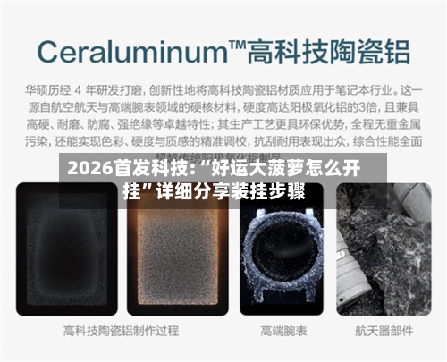 2026首发科技:“好运大菠萝怎么开挂”详细分享装挂步骤