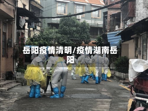 岳阳疫情清明/疫情湖南岳阳