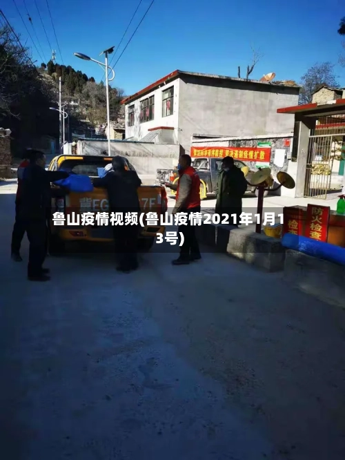 鲁山疫情视频(鲁山疫情2021年1月13号)-第3张图片