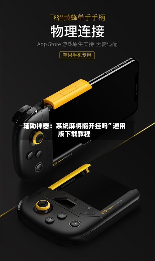 辅助神器：系统麻将能开挂吗”通用版下载教程-第3张图片