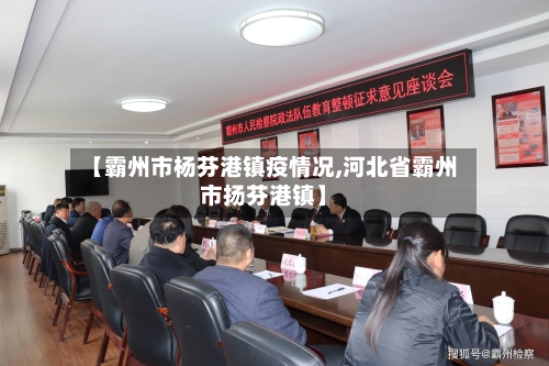 【霸州市杨芬港镇疫情况,河北省霸州市扬芬港镇】