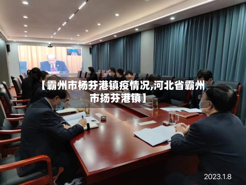 【霸州市杨芬港镇疫情况,河北省霸州市扬芬港镇】-第3张图片