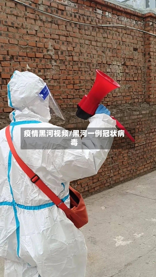 疫情黑河视频/黑河一例冠状病毒-第2张图片