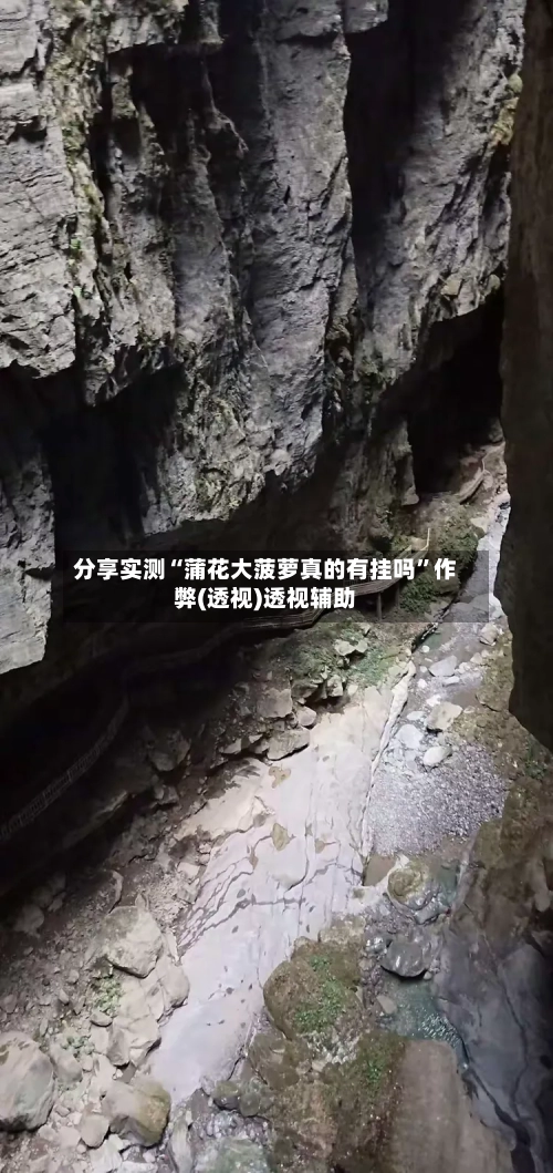 分享实测“蒲花大菠萝真的有挂吗”作弊(透视)透视辅助