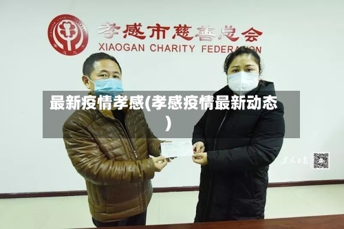 最新疫情孝感(孝感疫情最新动态)-第3张图片