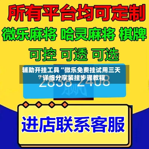 辅助开挂工具“微乐免费挂试用三天	”详细分享装挂步骤教程-第2张图片