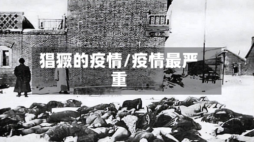 猖獗的疫情/疫情最严重-第2张图片