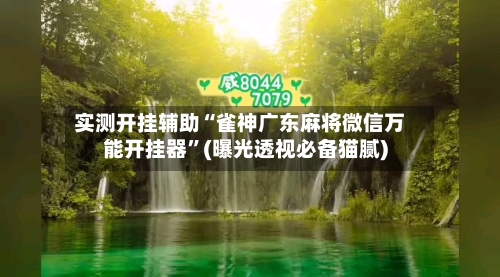 实测开挂辅助“雀神广东麻将微信万能开挂器”(曝光透视必备猫腻)-第3张图片