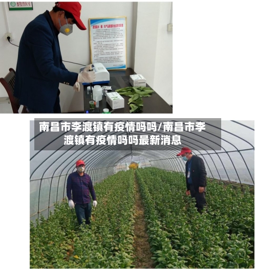 南昌市李渡镇有疫情吗吗/南昌市李渡镇有疫情吗吗最新消息