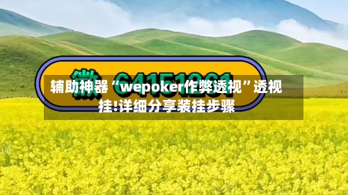 辅助神器“wepoker作弊透视”透视挂!详细分享装挂步骤-第2张图片