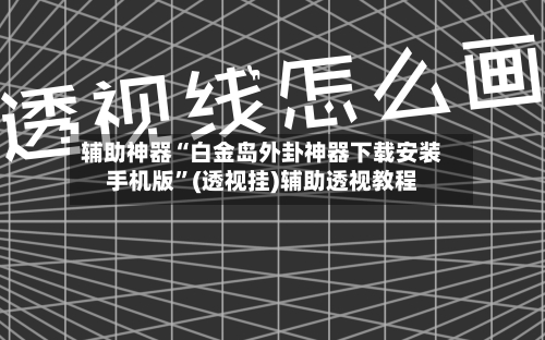 辅助神器“白金岛外卦神器下载安装手机版	”(透视挂)辅助透视教程-第2张图片