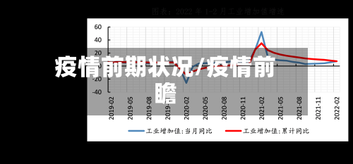 疫情前期状况/疫情前瞻