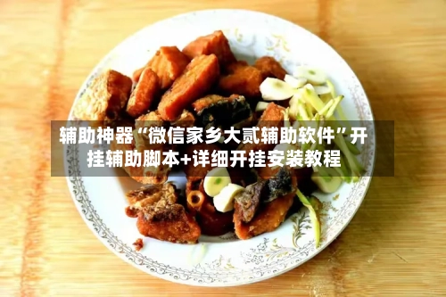 辅助神器“微信家乡大贰辅助软件”开挂辅助脚本+详细开挂安装教程