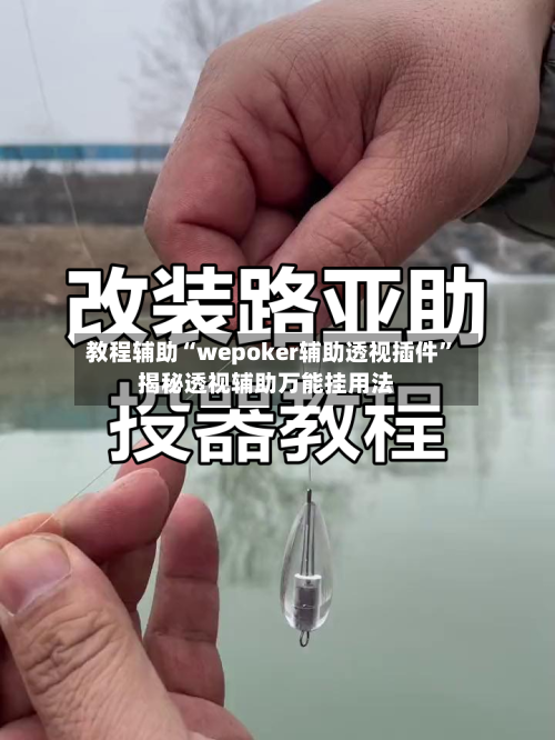 教程辅助“wepoker辅助透视插件	”揭秘透视辅助万能挂用法-第2张图片