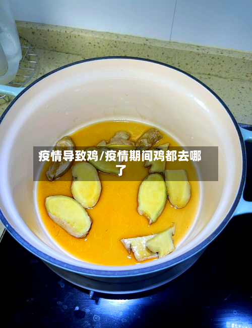 疫情导致鸡/疫情期间鸡都去哪了-第2张图片