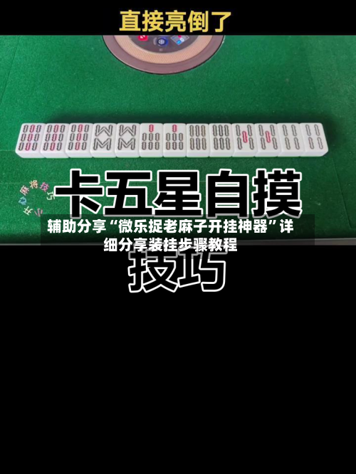 辅助分享“微乐捉老麻子开挂神器”详细分享装挂步骤教程-第3张图片