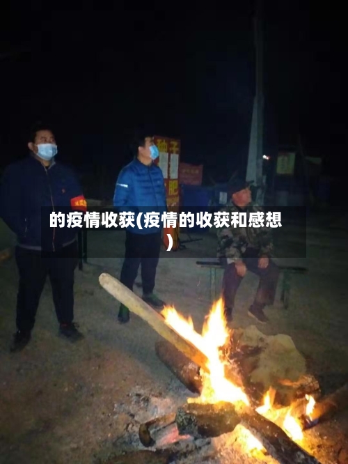 的疫情收获(疫情的收获和感想)-第2张图片