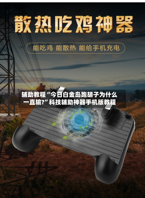 辅助教程“今日白金岛跑胡子为什么一直输?”科技辅助神器手机版教程-第2张图片