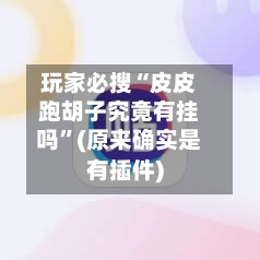 玩家必搜“皮皮跑胡子究竟有挂吗	”(原来确实是有插件)-第2张图片