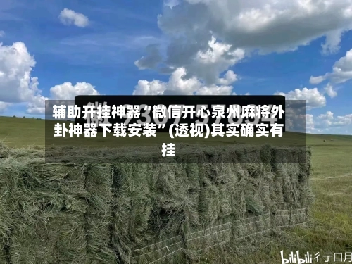 辅助开挂神器“微信开心泉州麻将外卦神器下载安装”(透视)其实确实有挂