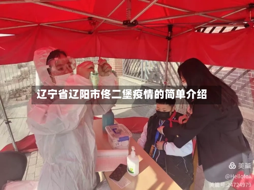 辽宁省辽阳市佟二堡疫情的简单介绍-第2张图片