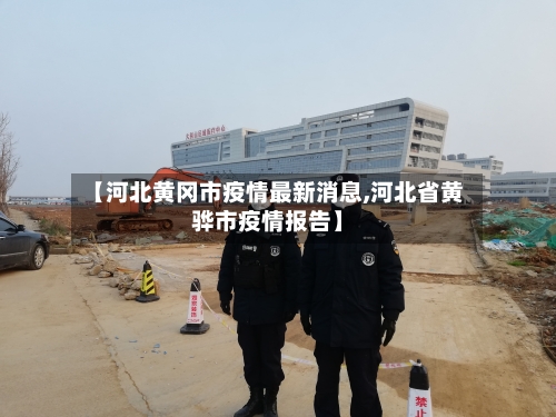 【河北黄冈市疫情最新消息,河北省黄骅市疫情报告】