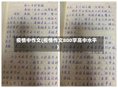 疫情中作文(疫情作文800字高中水平)