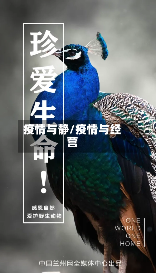 疫情与静/疫情与经营