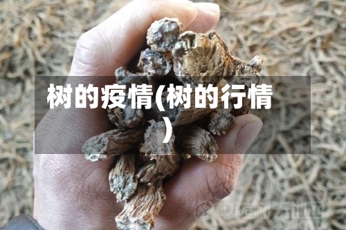 树的疫情(树的行情)-第2张图片