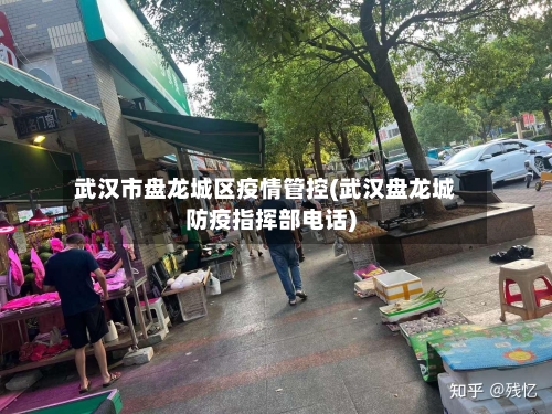 武汉市盘龙城区疫情管控(武汉盘龙城防疫指挥部电话)