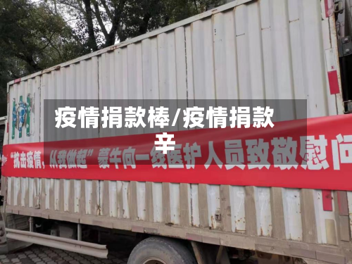 疫情捐款棒/疫情捐款辛-第2张图片