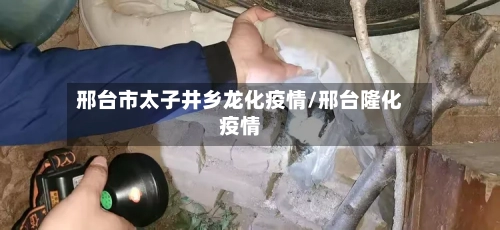 邢台市太子井乡龙化疫情/邢台隆化疫情