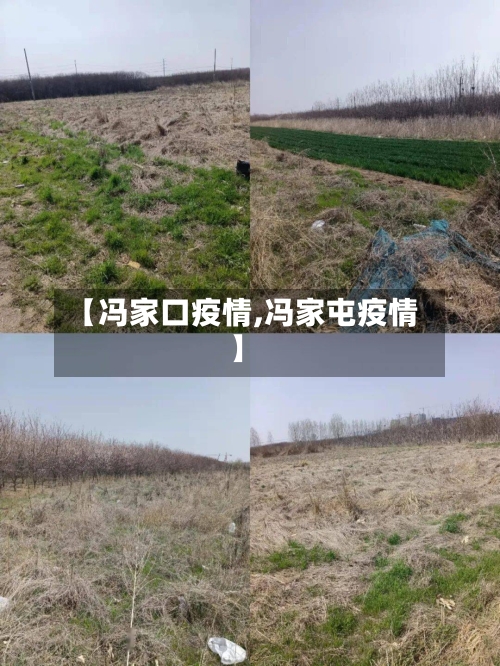 【冯家口疫情,冯家屯疫情】