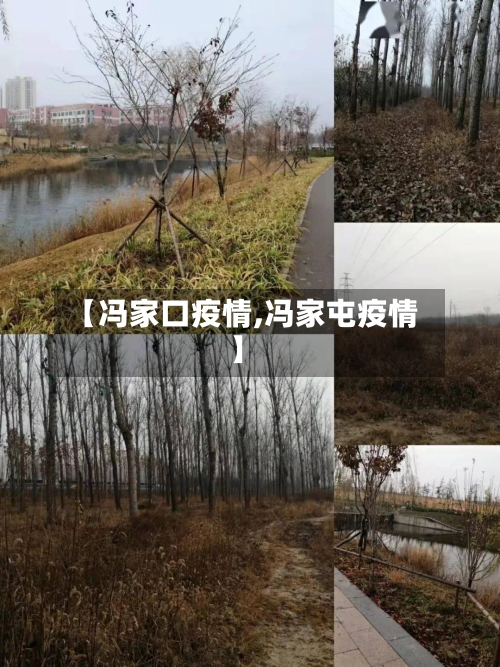 【冯家口疫情,冯家屯疫情】-第2张图片