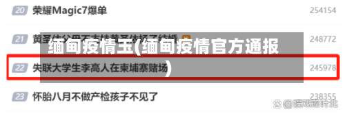 缅甸疫情玉(缅甸疫情官方通报)-第3张图片