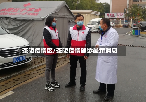 茶陵疫情区/茶陵疫情确诊最新消息