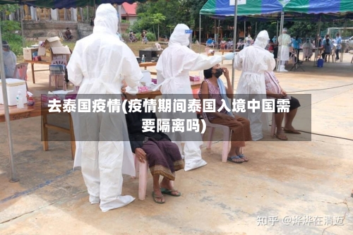 去泰国疫情(疫情期间泰国入境中国需要隔离吗)-第2张图片