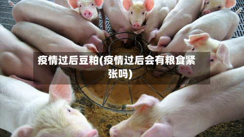 疫情过后豆粕(疫情过后会有粮食紧张吗)