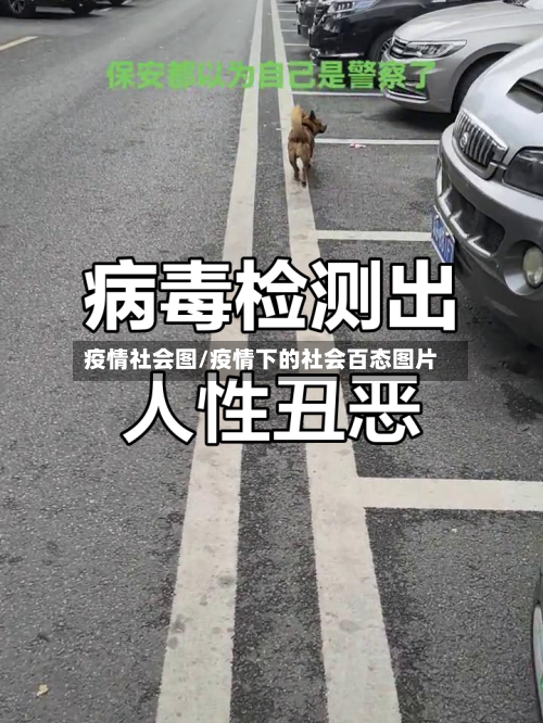 疫情社会图/疫情下的社会百态图片-第2张图片