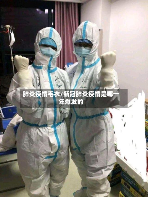 肺炎疫情毛衣/新冠肺炎疫情是哪一年爆发的