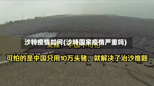 沙特疫情如何(沙特国家疫情严重吗)-第3张图片