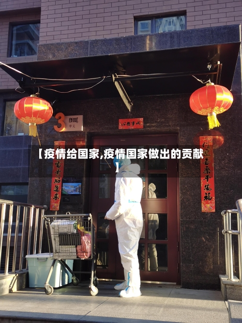 【疫情给国家,疫情国家做出的贡献】-第3张图片