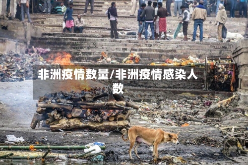 非洲疫情数量/非洲疫情感染人数-第2张图片